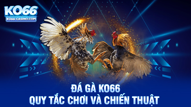Quy Tắc Chơi Và Chiến Thuật Trong Đá Gà Ko66