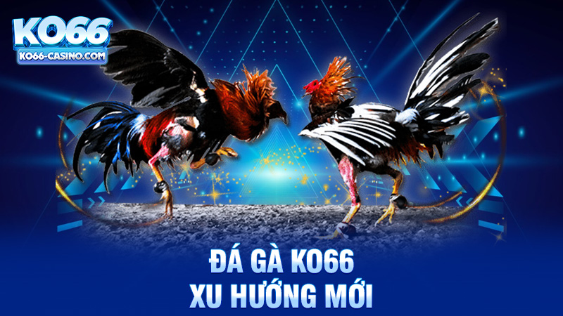 Đá Gà Trực Tuyến - Xu Hướng Mới Trong Thế Giới Đá Gà Ko66